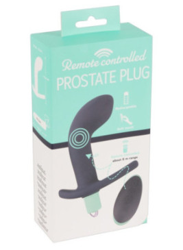 Remote Controlled Prostate Plug